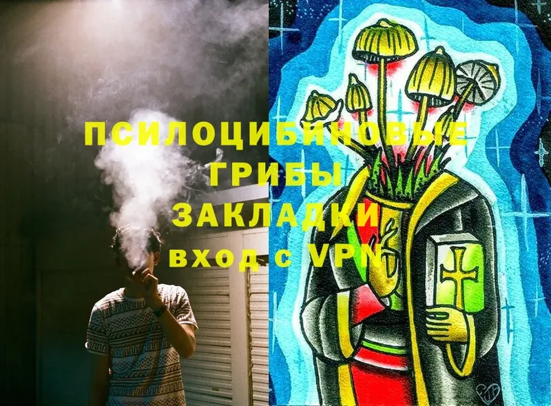 Галлюциногенные грибы MAGIC MUSHROOMS  Кизел 